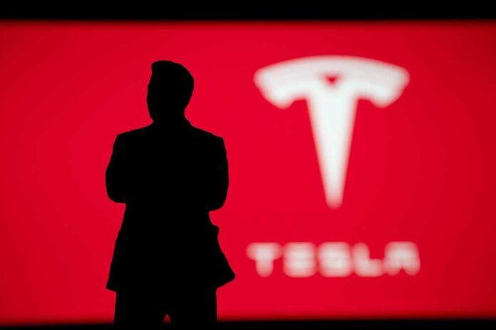 Silhouette with Tesla logo in red background.