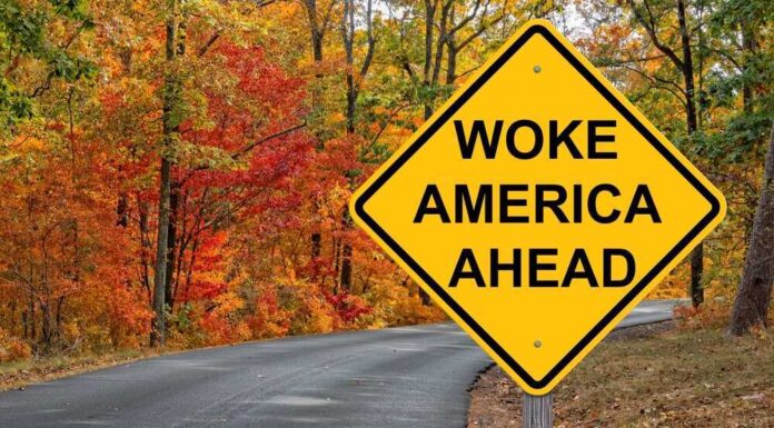 shutterstock_2311013175.jpg featured image Yellow road sign: Woke America Ahead in autumn forest.