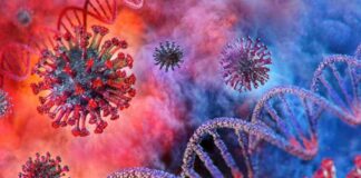 Coronavirus particles and DNA strands, colorful background.