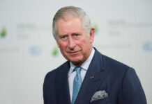 King Charles in a suit and tie smiling.