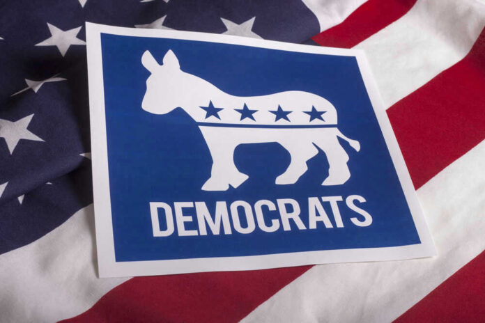 Democratic Party donkey logo on American flag background