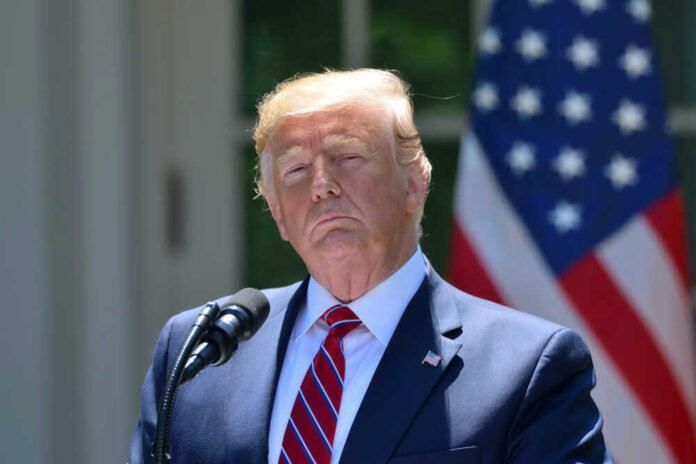 shutterstock_1432764869.jpg President Donald Trump