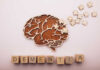 Wooden brain illustration with puzzle pieces and the word DEMENTIA spelled out in blocks