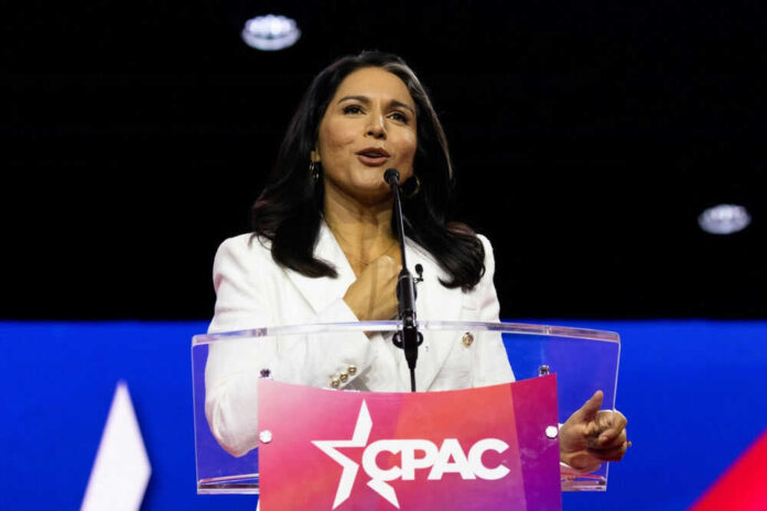 shutterstock_2271370957.jpg Tulsi Gabbard