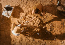 Two individuals excavating fossils at an archaeological site