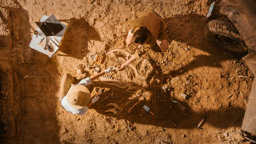 Two individuals excavating fossils at an archaeological site