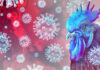 Blue chicken surrounded by virus-like structures