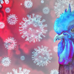 Blue chicken surrounded by virus-like structures