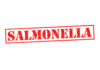 Red stamp with the word SALMONELLA indicating a health warning