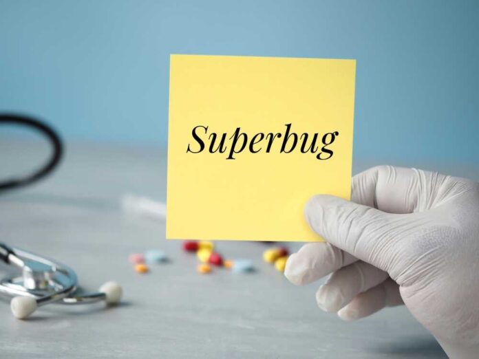shutterstock_2518450217.jpg Superbug