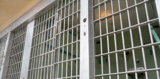Empty prison cell with metal bars and toilet.