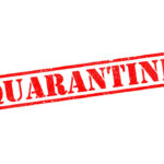 Red stamp with the word 'QUARANTINE' on a white background