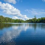 A tranquil lake surrounded by trees under a blue sky with fluffy clouds