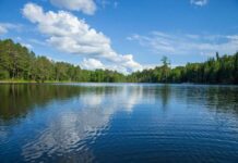 Lake Manly’s Shocking Return Stuns Experts A tranquil lake surrounded by trees under a blue sky with fluffy clouds