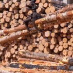 Heavy machinery lifting logs in a lumber yard