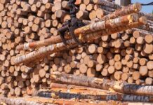 American Sawmills COLLAPSING — One Dies Weekly Heavy machinery lifting logs in a lumber yard