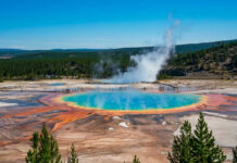Yellowstone Park