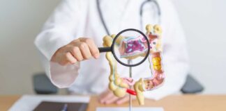 Doctor examining a digestive system model with a magnifying glass