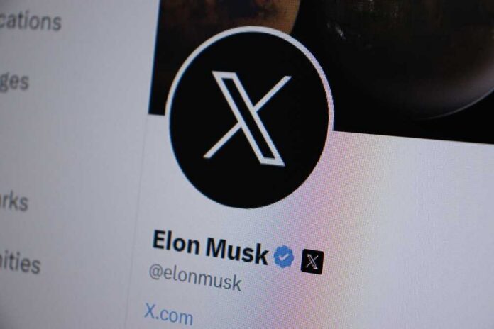 Close-up of a social media profile page featuring a logo and username