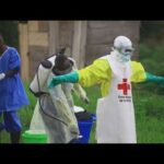 American Doctor Caught In Ebola CHAOS! U.S. doctor working in the Congo tests positive for Ebola