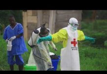 American Doctor Caught In Ebola CHAOS! U.S. doctor working in the Congo tests positive for Ebola