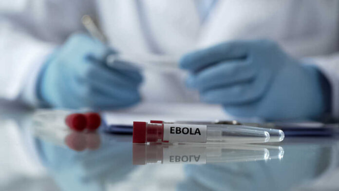 Worker,Of,Center,For,Disease,Control,Describing,Effects,Of,Ebola Ebola test tubes on lab table with gloved scientist in background