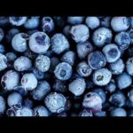 Blueberry Bags Trigger E. Coli ALARM Publix blueberry recall