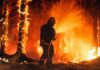 VIDEO: Fire Tsunami Slams Famed Areas