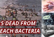 Deadly Flesh-Eating Bacteria Kills 5 in Louisiana as Beach Warning Grows