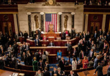 Musk’s $100M Cannonball Into Congress US Senate