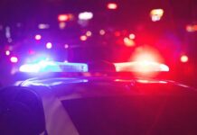 Shove Into Harbor — Prosecutors Pounce Police car with flashing red and blue lights at night