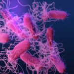 Illustration of bacteria with long flagella against a colorful background