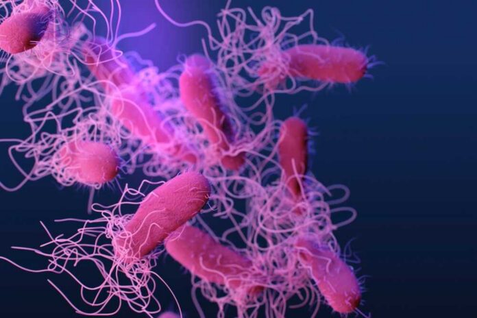 A,Medical,Illustration,Of,Drug-resistant,,Nontyphoidal,,Salmonella,Sp.,Bacteria. Illustration of bacteria with long flagella against a colorful background