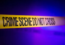 Hidden Branch Kills Child at Beauty Spot Yellow crime scene tape with the words 'CRIME SCENE DO NOT CROSS'
