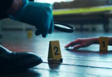 Is THIS Corpse the 1982 Tylenol Murderer?! A detective examining evidence at a crime scene with markers on the floor