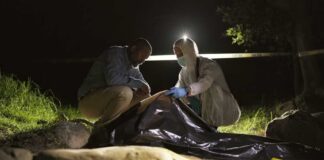 forensic team examines a body bag at a nighttime outdoor crime scene
