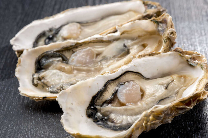 Oyster Three open oysters on a dark wooden surface
