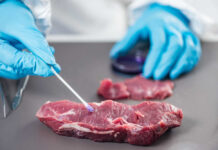 Meat-Only Medical Miracle? A gloved hand using a swab to test a piece of meat in a lab setting