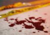 Shot At Point-Blank – She Played Dead Blood droplets on pavement near yellow caution tape
