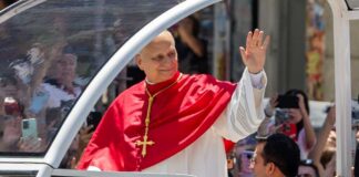 Catholic clergyman in red vestments waving from a popemobile